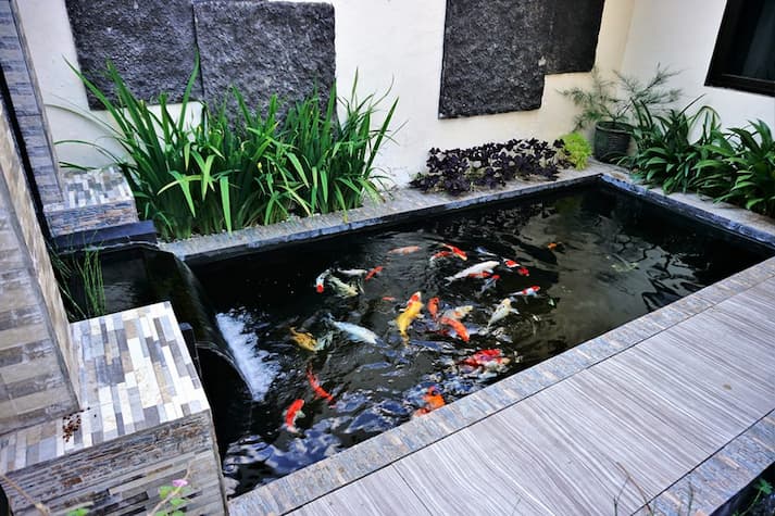 Halaman Rumah dengan Kolam Ikan